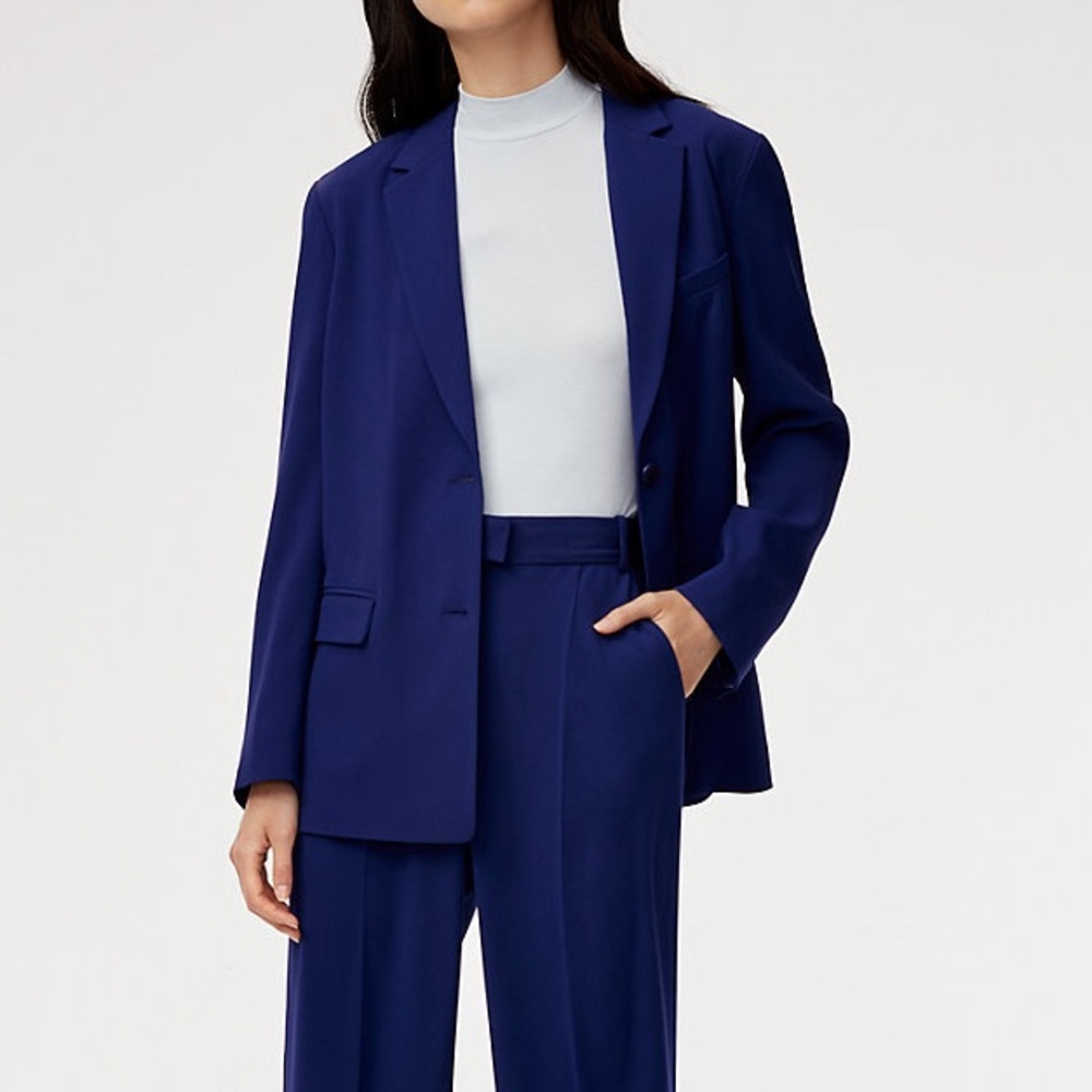 Aritzia Babaton Blazer